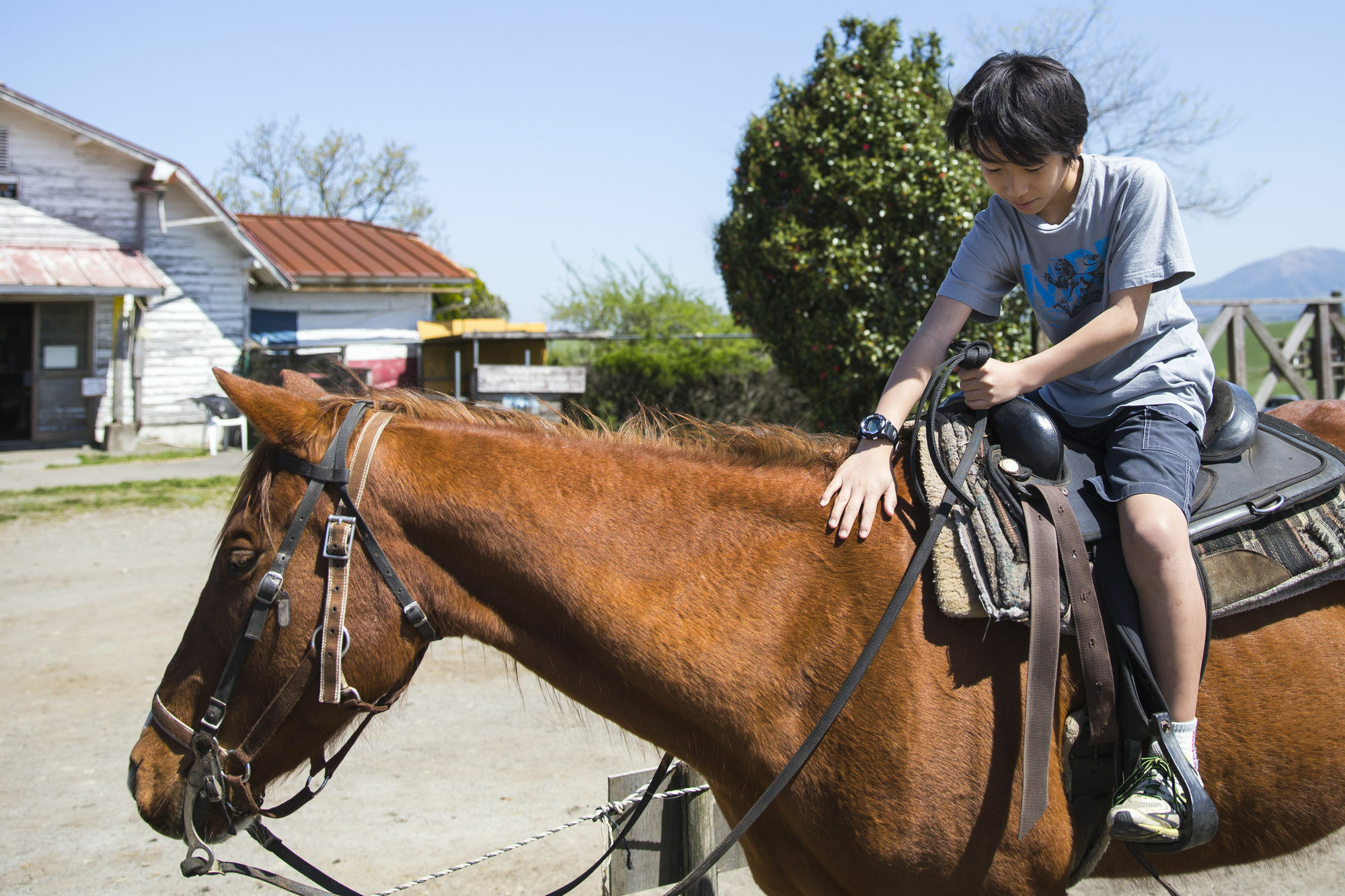 El Patio Ranch Konuk evi Aso Dış mekan fotoğraf